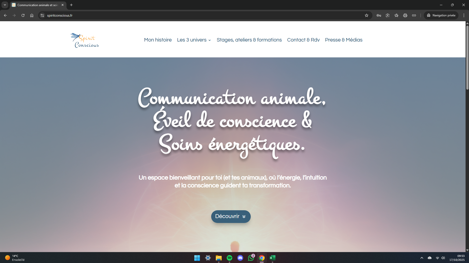 exemple site internet sur mesure atelierdigiweb spirit conscious