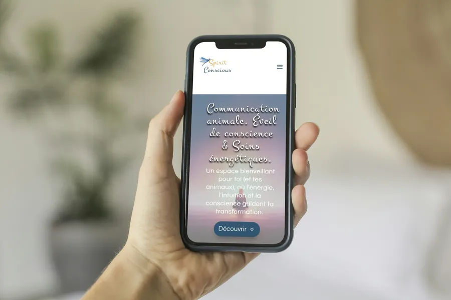 spirit conscious site internet stratégie digitale